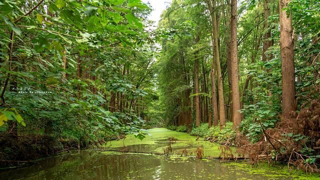 一分钟看懂泰州旅游，探寻海上平原千年古城