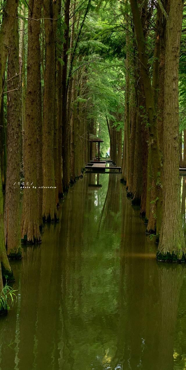 一分钟看懂泰州旅游，探寻海上平原千年古城