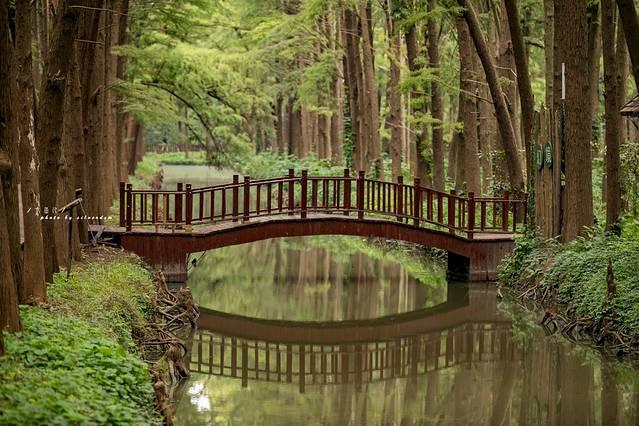 一分钟看懂泰州旅游，探寻海上平原千年古城