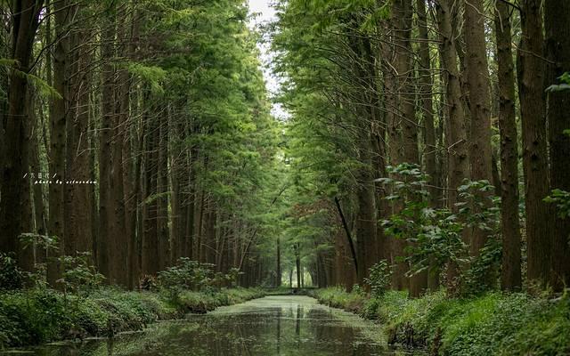 一分钟看懂泰州旅游，探寻海上平原千年古城