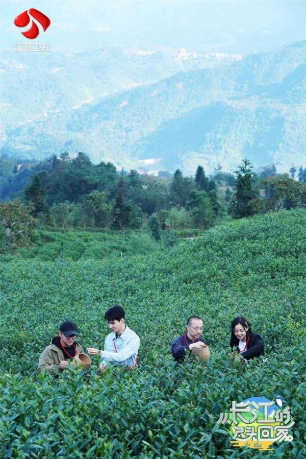 宜宾必吃10大美食，从长江的尽头回家宜宾之行圆满结束刘仪伟用四川美食解乡愁