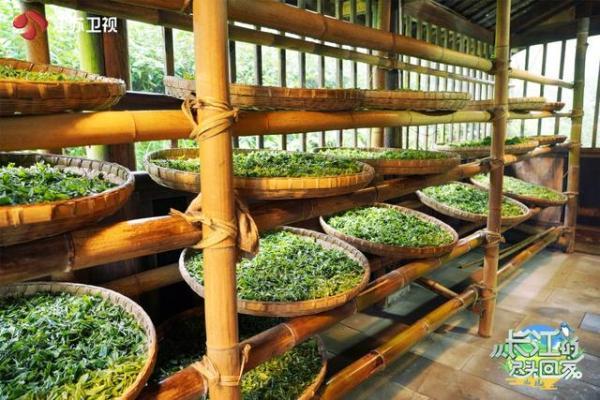 宜宾必吃10大美食，从长江的尽头回家宜宾之行圆满结束刘仪伟用四川美食解乡愁