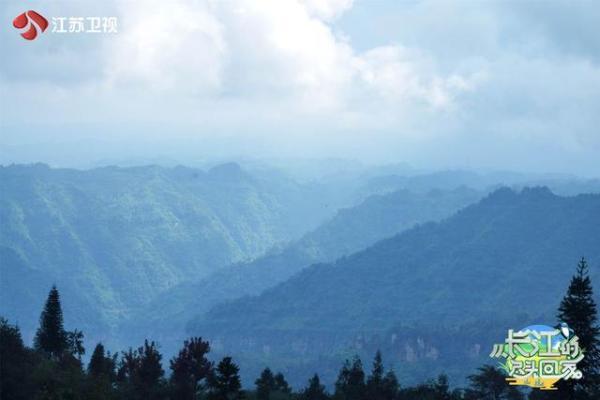 宜宾必吃10大美食，从长江的尽头回家宜宾之行圆满结束刘仪伟用四川美食解乡愁