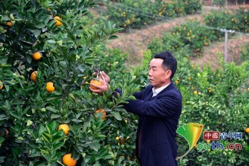 三峡百万移民的故事，三峡工程移民的