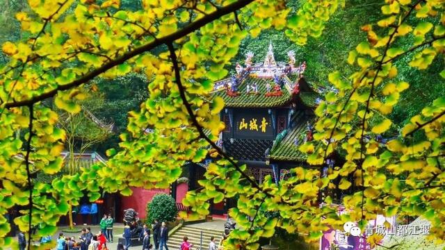 青城山旅游攻略，青城山旅游攻略一日游最佳路线（青城山一日游要怎么玩）