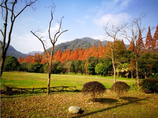 青城山旅游攻略，青城山旅游攻略一日游最佳路线（青城山一日游要怎么玩）