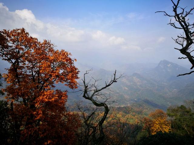 青城山旅游攻略，青城山旅游攻略一日游最佳路线（青城山一日游要怎么玩）