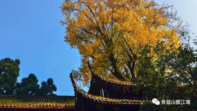 青城山旅游攻略，青城山旅游攻略一日游最佳路线（青城山一日游要怎么玩）