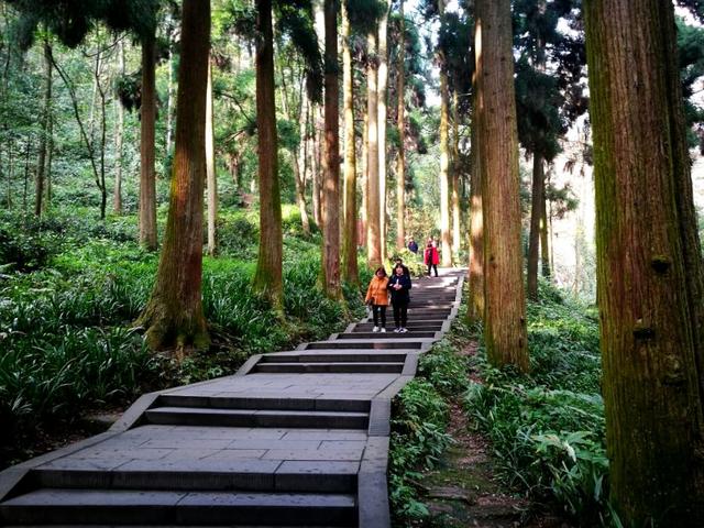 青城山旅游攻略，青城山旅游攻略一日游最佳路线（青城山一日游要怎么玩）