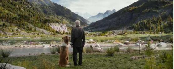 野性的呼唤中文版，野性的呼唤电影中文版