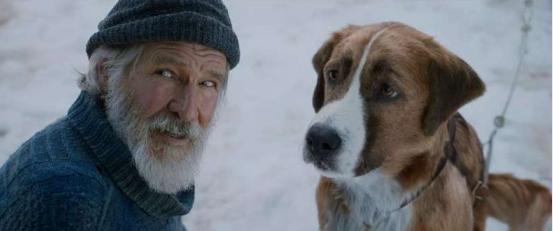 野性的呼唤中文版，野性的呼唤电影中文版