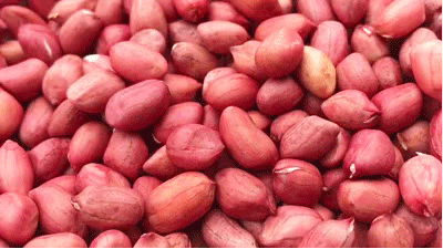 大黄米汤圆好吃吗，大黄米汤圆哪个口味好吃