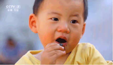 大黄米汤圆好吃吗，大黄米汤圆哪个口味好吃