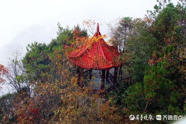 七仙岭带你爬山，假期运动量统统献给了这个热带雨林