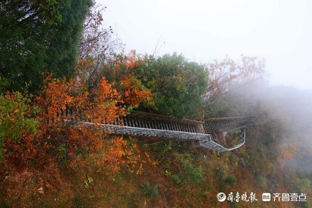 七仙岭带你爬山，假期运动量统统献给了这个热带雨林