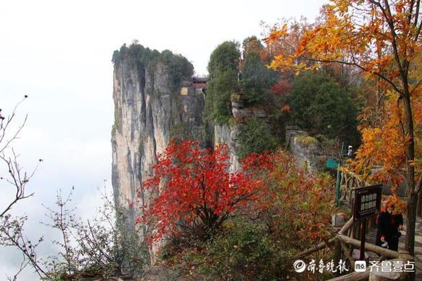 七仙岭带你爬山，假期运动量统统献给了这个热带雨林