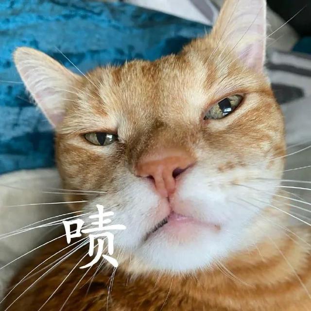 上海地铁怎么坐，上海乘地铁要注意什么