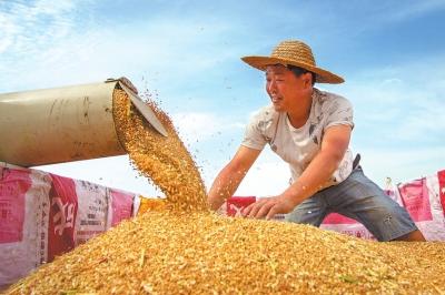 仓廪实知荣辱衣食足，《史记·管晏列传》