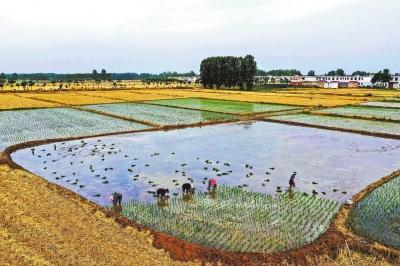 仓廪实知荣辱衣食足，《史记·管晏列传》