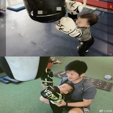 吴京比谢楠大几岁，谢楠晒6岁儿子赤膊照（吴京和谢楠差几岁）