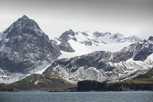 南极象岛企鹅数量，通过卫星发现的以前不为人知的大型企鹅群