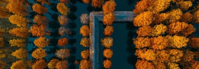 海湾国家森林公园攻略，上海附近有森林公园吗