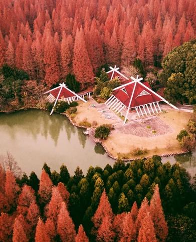 海湾国家森林公园攻略，上海附近有森林公园吗