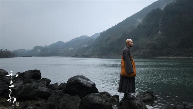 秦海璐获奖电影作品，秦海璐田雨主演