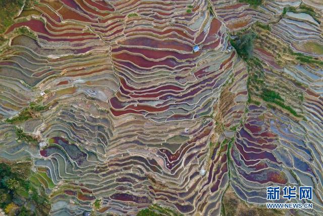 元阳哈尼梯田风景区介绍，云端的千年哈尼梯田