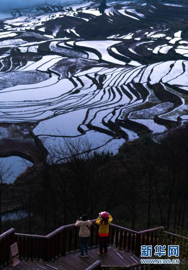 元阳哈尼梯田风景区介绍，云端的千年哈尼梯田