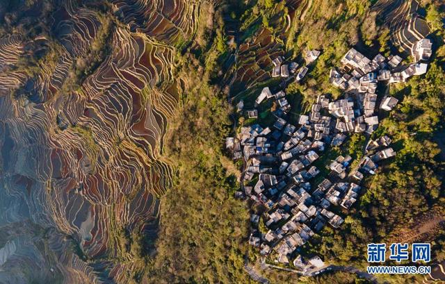 元阳哈尼梯田风景区介绍，云端的千年哈尼梯田
