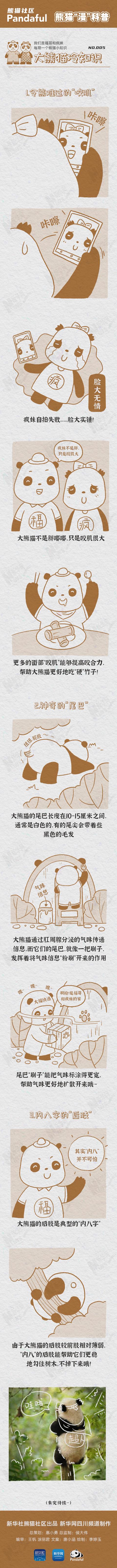 大熊猫动画百科，熊猫漫科普