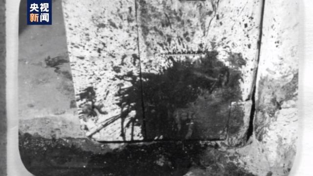 天网24小时杀妻案，因8000元杀妻子全家