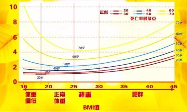 i 度肥胖(i度肥胖是什么程度)