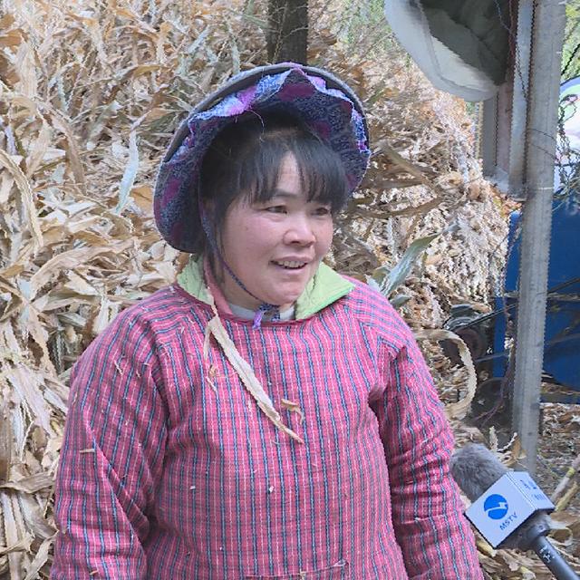 正宗原生态养殖黑山羊，黑山羊生态养殖