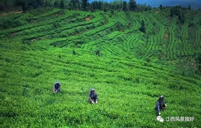 龙南一日游最佳路线，让你虔心回归自然的小镇