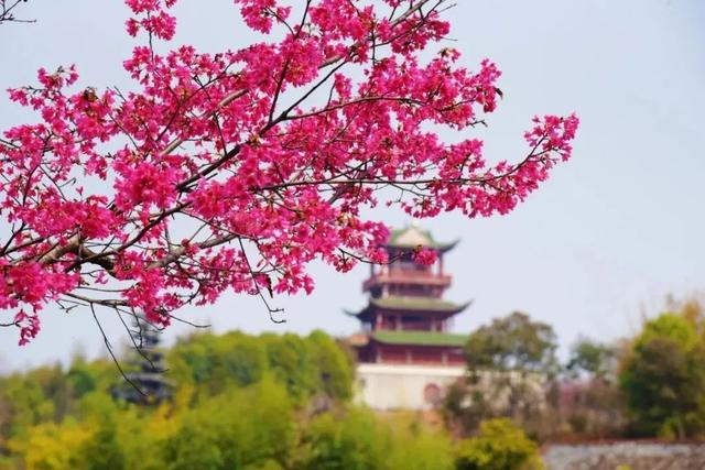 赣州阳明湖旅游景点，叫陡水湖还是阳明湖好