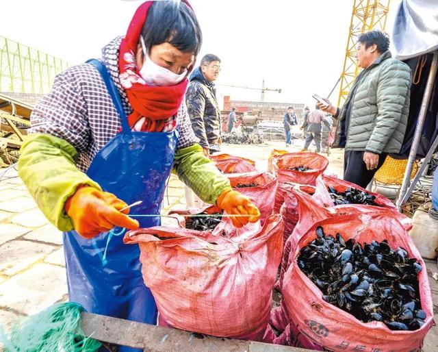 海鲜干货品种大全，日照这种海鲜上市了（日照海鲜干货品种）