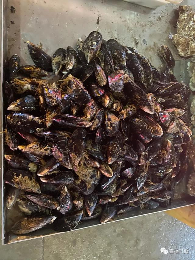 海鲜干货品种大全，日照这种海鲜上市了（日照海鲜干货品种）