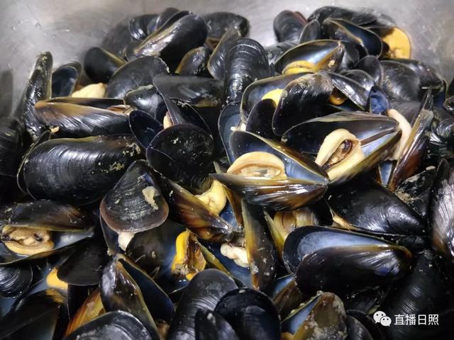 海鲜干货品种大全，日照这种海鲜上市了（日照海鲜干货品种）