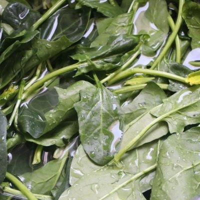 溶豆婴儿辅食制作，宝宝辅食就这么做