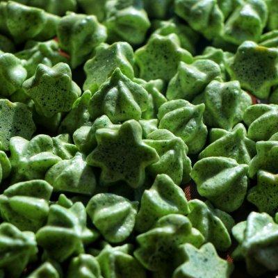 溶豆婴儿辅食制作，宝宝辅食就这么做