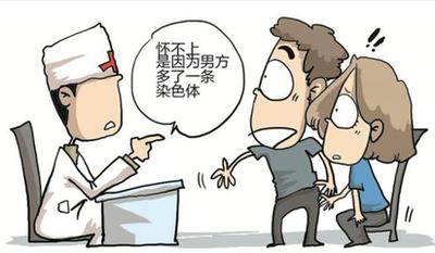 成年人的染色体，性染色体的奥秘
