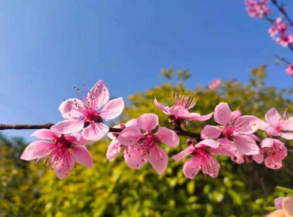 南昌40天天气预报，未来40天南昌的天气预报（狂降11雨雨雨）