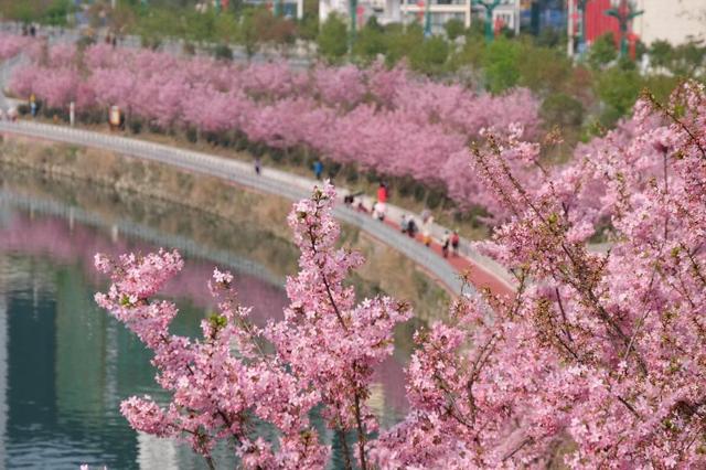 元阳梯田旅游攻略，云南元阳梯田旅游攻略珍藏版