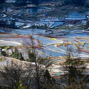 元阳梯田旅游攻略，云南元阳梯田旅游攻略珍藏版