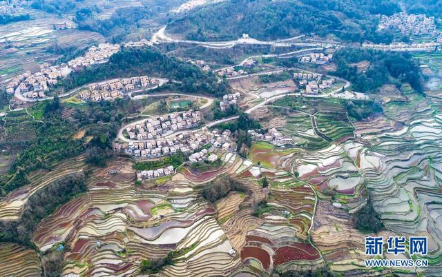 元阳梯田旅游攻略，云南元阳梯田旅游攻略珍藏版
