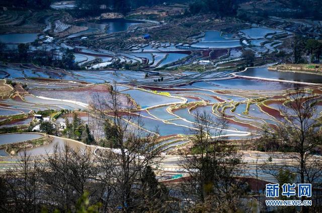 元阳梯田旅游攻略，云南元阳梯田旅游攻略珍藏版