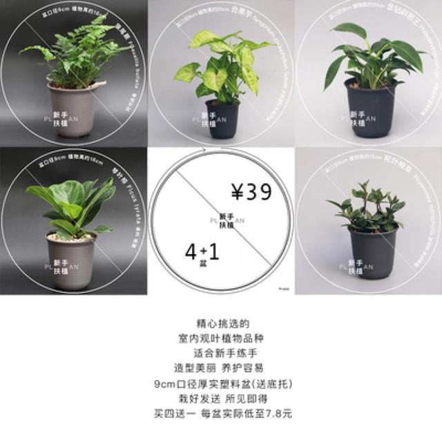 卖花的口才技巧，花市买花的技巧和方法