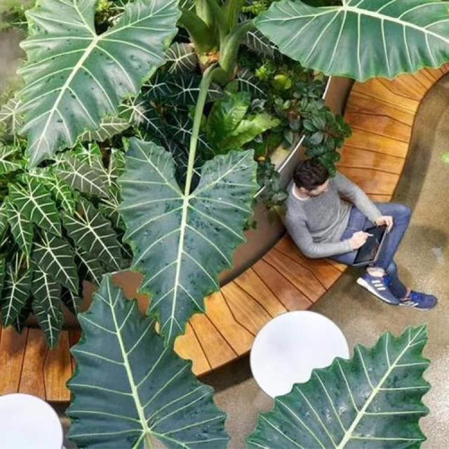 卖花的口才技巧，花市买花的技巧和方法